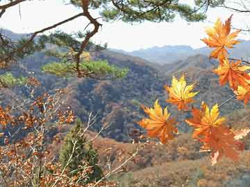 塬口村委会天气预报更新通知